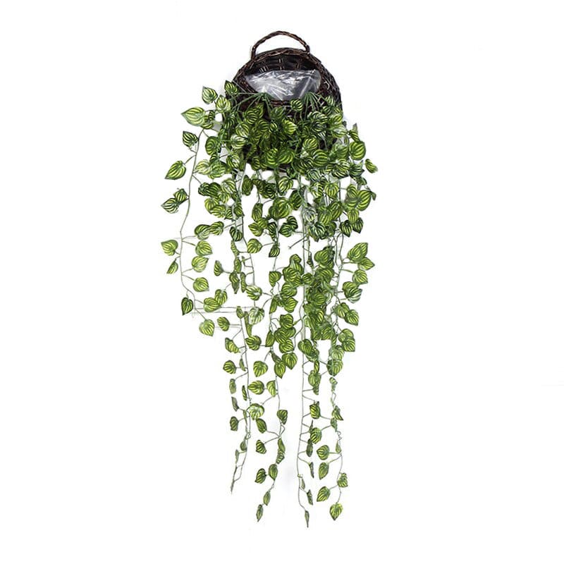 Plante Tombante Artificielle Codonanthe