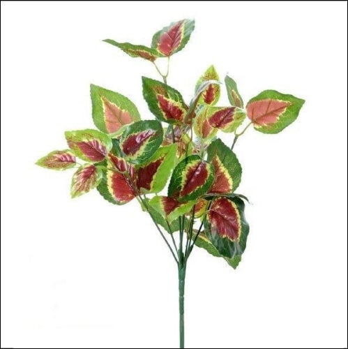 plante pour mur végétal