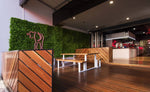 Mur Végétal Artificiel <br> Sunshine