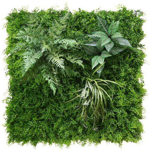 Mur Végétal Extérieur <br> Deluxe