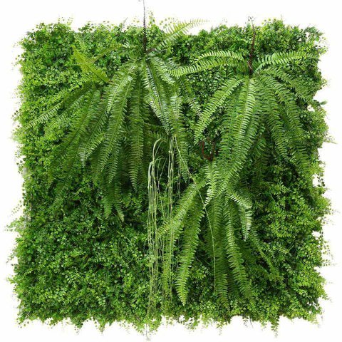 Mur Végétal Extérieur <br> Jungle