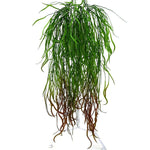 Plante Tombante Artificielle Algue