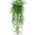 Plante Tombante Artificielle Banyuls