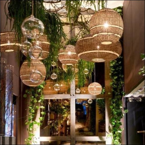 plantes tombantes en plastique