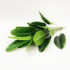 Monstera <br> Artificiel