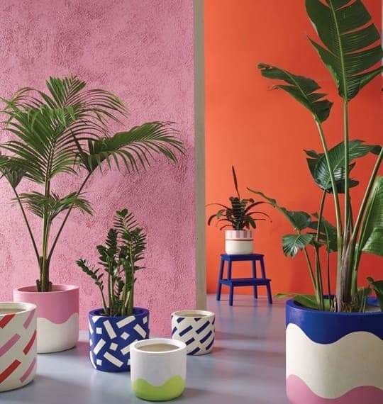 plante artificielle fougère