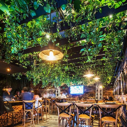 Plante Tombante Artificielle <br> Banyuls