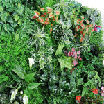 plante pour mur végétal